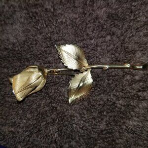 Gold Rose